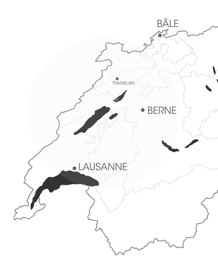 Map-suisse-tronqué